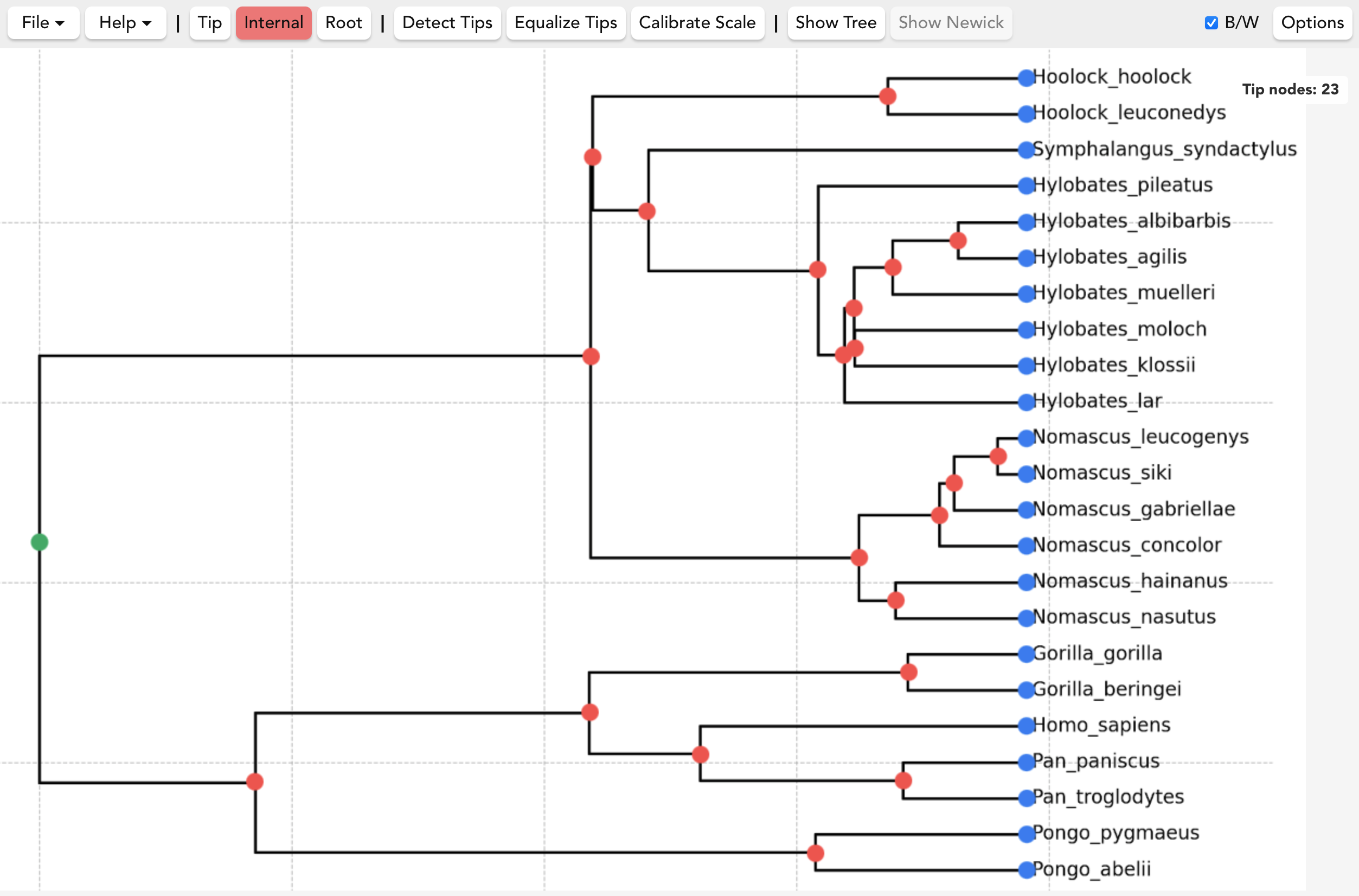 Nodes placed screenshot