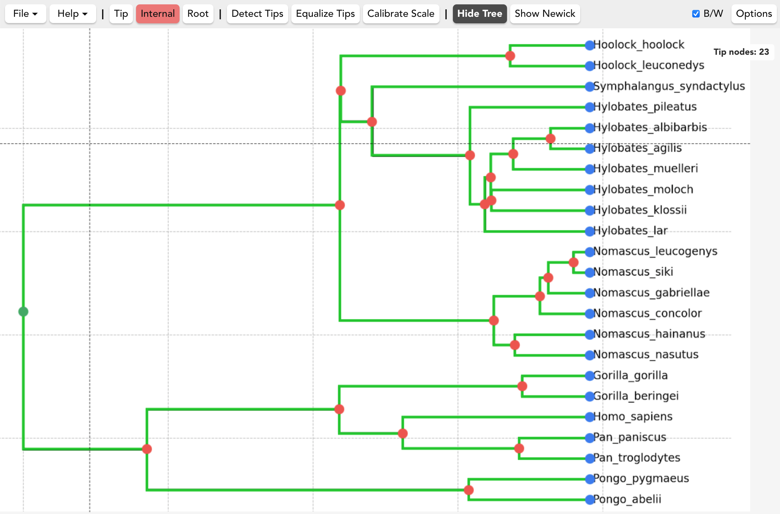 Show tree screenshot