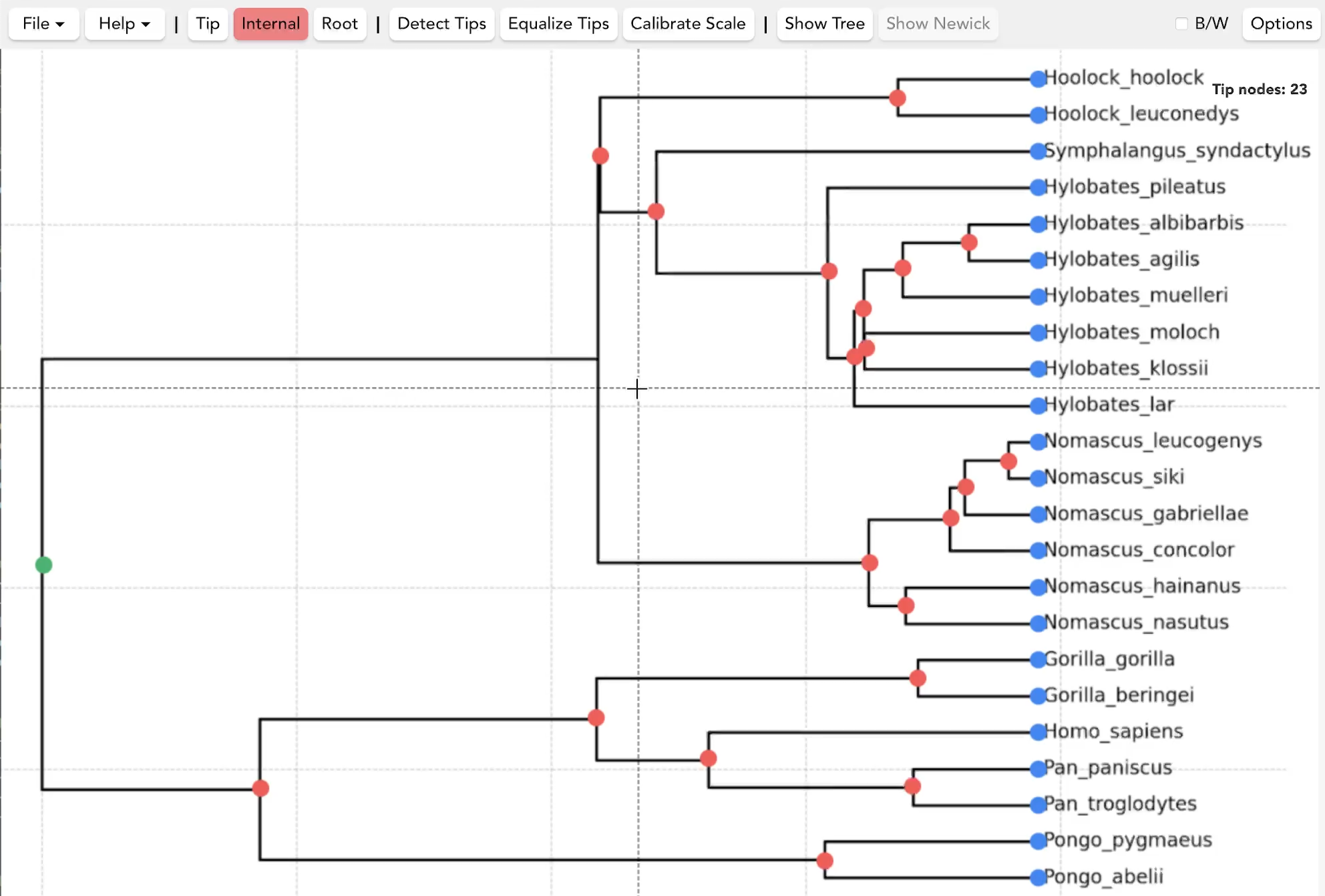 Placing nodes screenshot