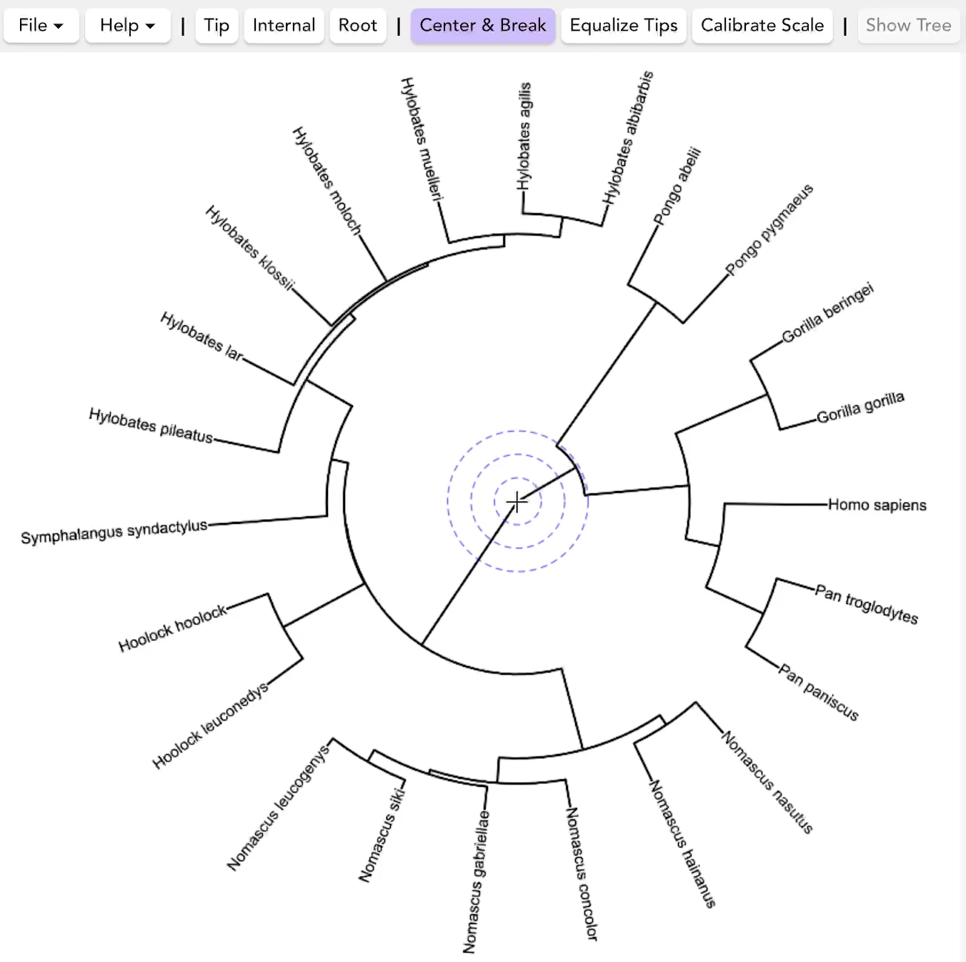 Circular labels