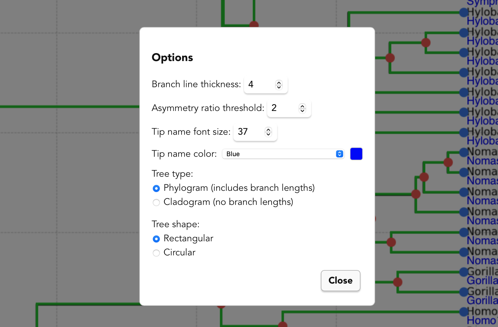 Options modal screenshot